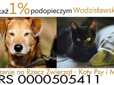 logo stowarzyszenia