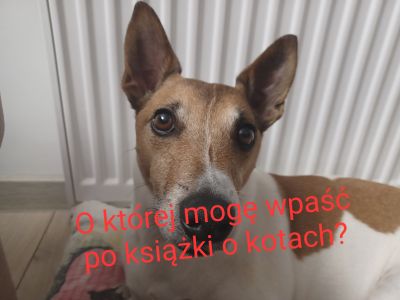 Mem 
