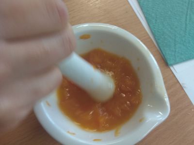 zdjęcia z zajęć laboratoryjnych