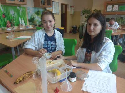 zdjęcia z zajęć laboratoryjnych