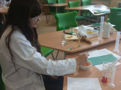 zdjęcia z zajęć laboratoryjnych