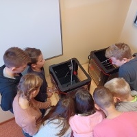 Druk 3D (9)