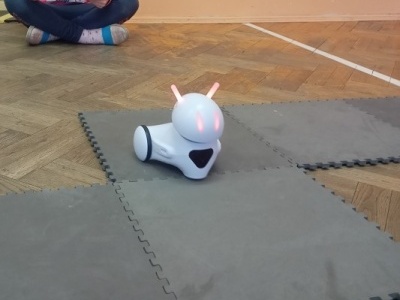 Roboty (7)