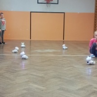 Roboty (4)