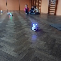 Roboty (7)