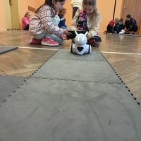 Roboty (5)
