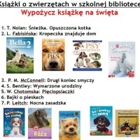Książka na święta (1)