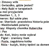 Książka na święta (2)