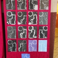 Dzień Kota (4)