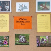 Dzień Kota (1)