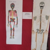 nauka (14)