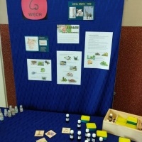 sdsa (15)