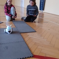 Roboty (11)