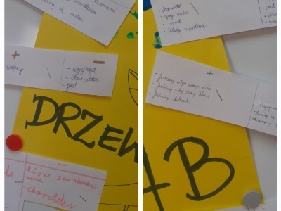 drzewo (19)
