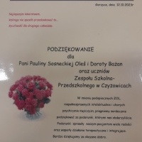 zol (3)