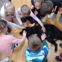 Kajko (6)