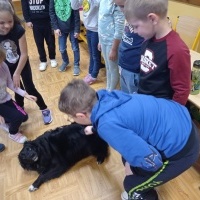 Kajko (3)