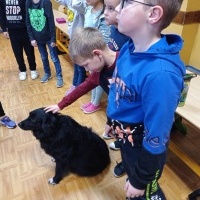 Kajko (4)