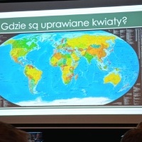 kwiaty (20)
