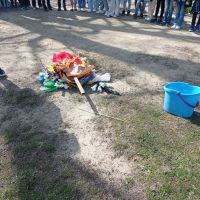 wiosna (1)