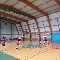 badminton (10)