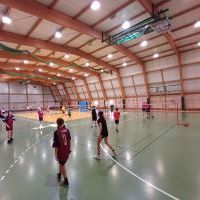 badminton (9)