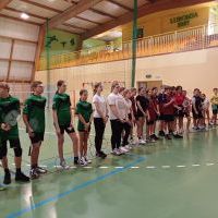 badminton (6)