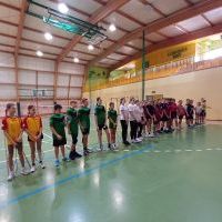 badminton (7)