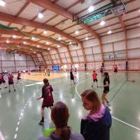 badminton (11)