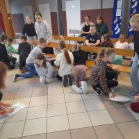 sdzd (13)