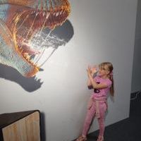 Lego (5)