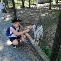 park leśny (3)