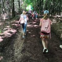park leśny (4)