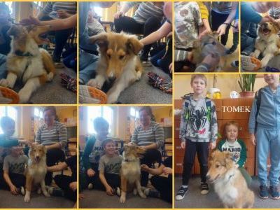 Bohater tygodnia  (11)