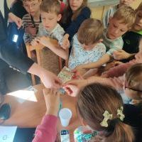 Zajęcia SKO (1)