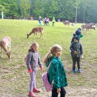 zdjęcia z Ustronia (11)