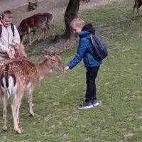 zdjęcia z Ustronia (4)