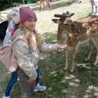 zdjęcia z Ustronia (8)