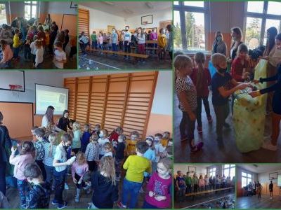 Warsztaty ekologiczne (4)
